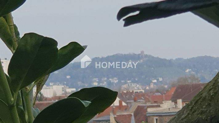 Der berühmte Turmbergblick - vom Garten aus