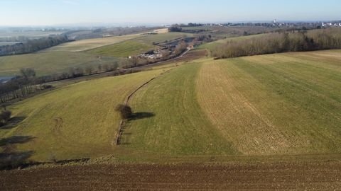 Rammingen Bauernhöfe, Landwirtschaft, Rammingen Forstwirtschaft