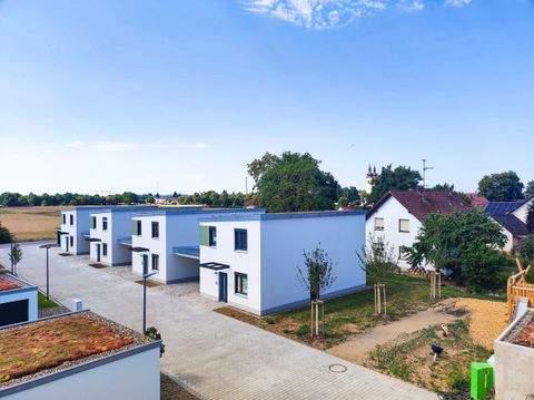 Grafenrheinfeld Häuser, Grafenrheinfeld Haus kaufen