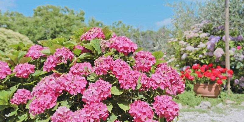 PHOTO-2025-05-26-20-54-24 11.jpg