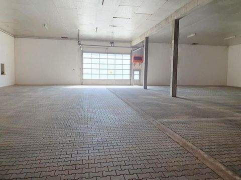 Teublitz Halle, Teublitz Hallenfläche