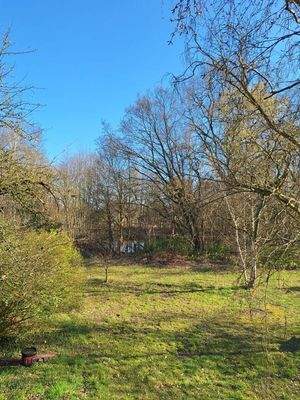 Parkähnlicher Garten #2