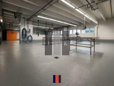 Halstenbek Halle, Halstenbek Hallenfläche