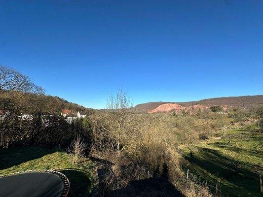 haus-kaufen-taben-rodt-a21934 (30)