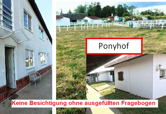 Ponyhof