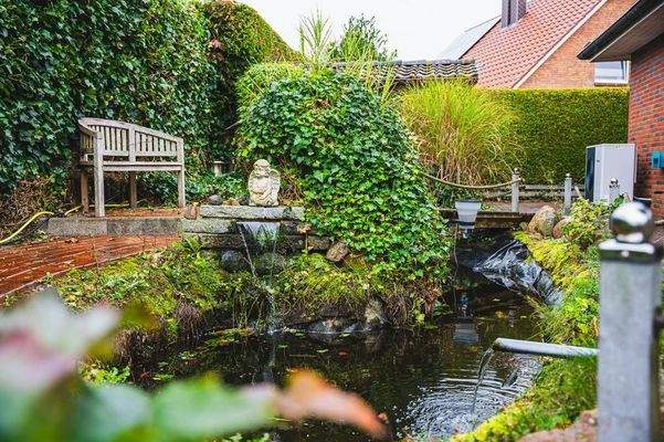Karpfenteich im eigenen Garten