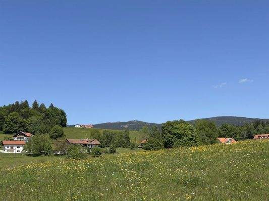 Blick Richtung Dreisessel