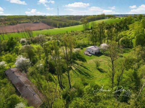 Hohenwarsleben Häuser, Hohenwarsleben Haus kaufen