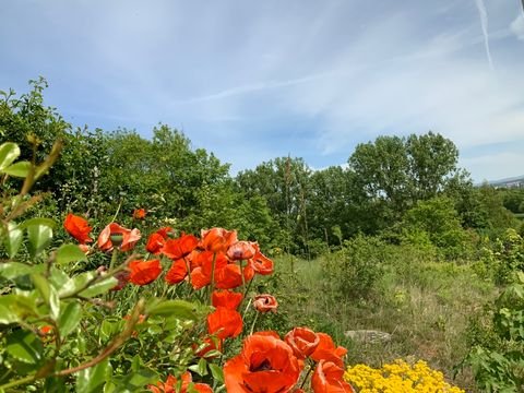 Aull Grundstücke, Aull Grundstück kaufen