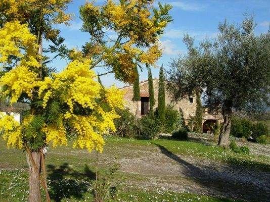 Frühling  auf Le Chiuse