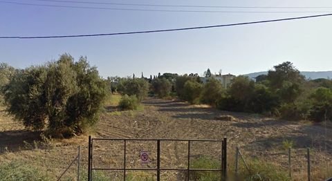 Rhodos Bauernhöfe, Landwirtschaft, Rhodos Forstwirtschaft