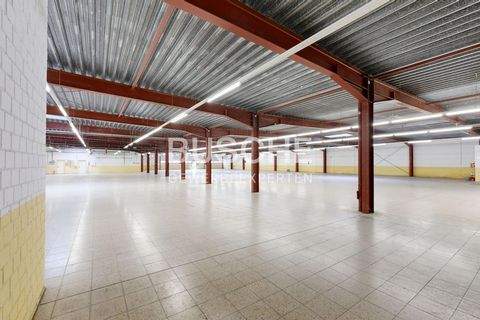 Ahaus Halle, Ahaus Hallenfläche