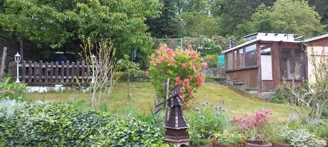 2914 kleiner Garten am Haus