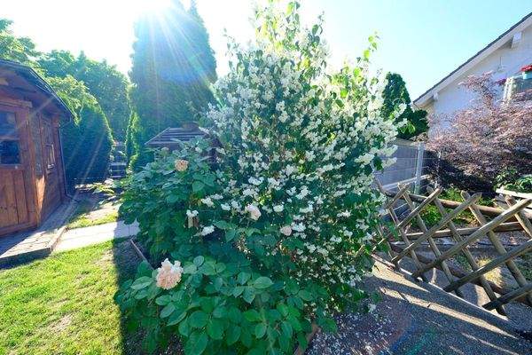 12.06. BS124 Garten (14)