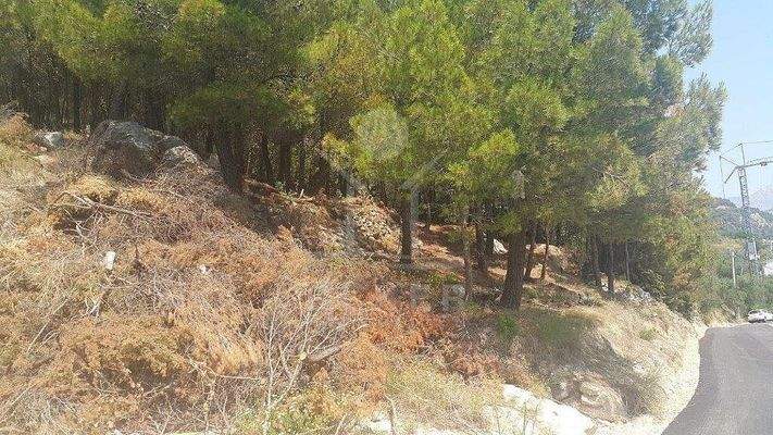 Ihre zukünftige Wohlfühloase in grandioser Lage