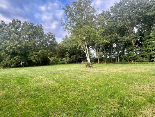 Baugrundstück/Garten