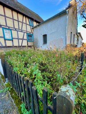 Außen_kleiner Gartten hinter dem Haus.jpeg