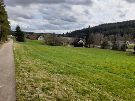 Blick Richung Villingen