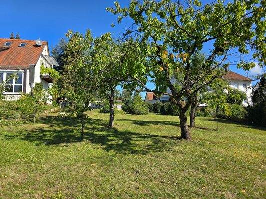 Blick Richtung Norden / Bottenbacher Straße