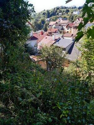 Ausblick vom oberen Grundstück