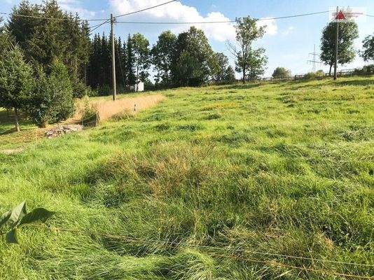 Grundstück, Arnsfeld