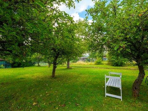 Trier Häuser, Trier Haus kaufen