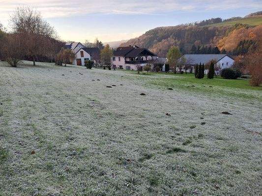 Haus mit großem Grundstück