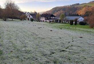 Haus mit großem Grundstück