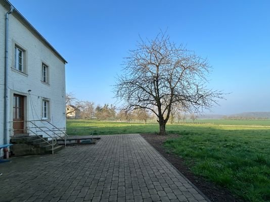 Bild...