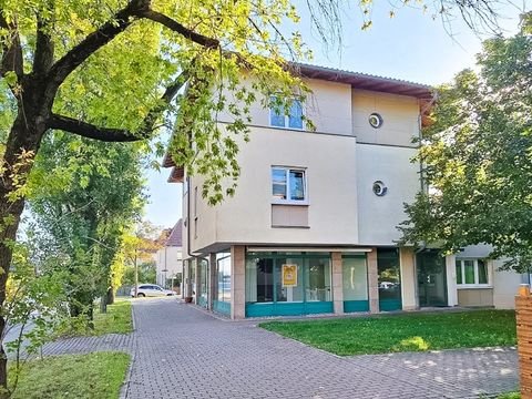 Dresden Ladenlokale, Ladenflächen 