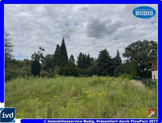 Blick auf das Grundstück