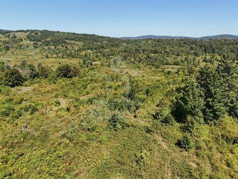 Gornje Primislje Grundstücke, Gornje Primislje Grundstück kaufen