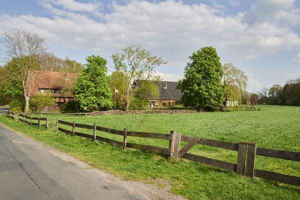 Impressionen von Schwarme