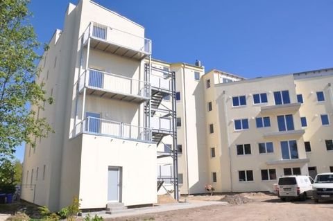 Stralsund Wohnungen, Stralsund Wohnung mieten