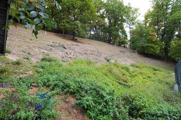 Die angrenzende Weidefläche