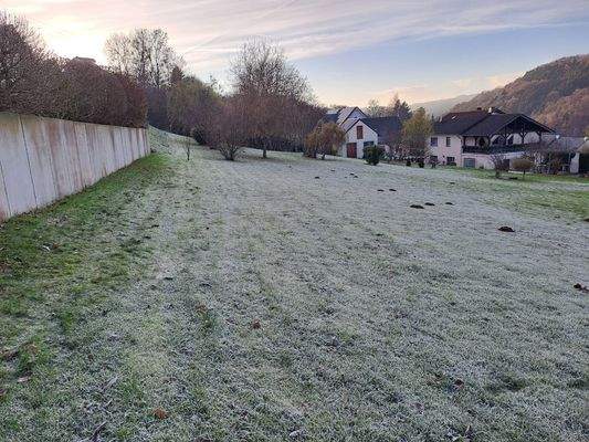 Haus mit Grundstück