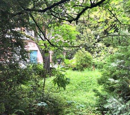 Blick vom Garten.jpg