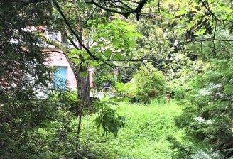 Blick vom Garten.jpg