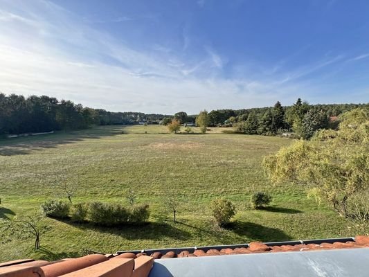 Ausblick vom Balkon