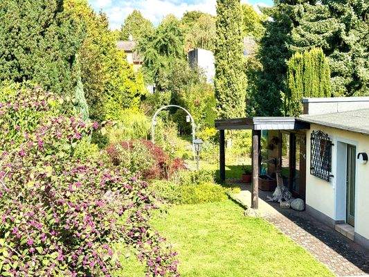 T20 Ausblick OG Garten.jpg