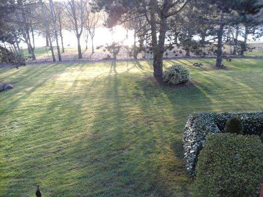 Blick vom Balkon zum Mühlenteich