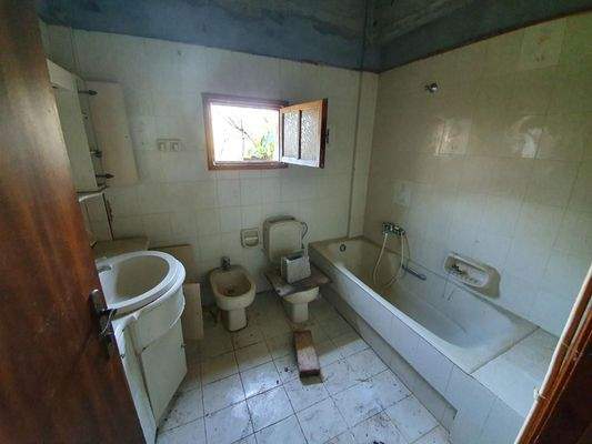 Kreta Sisi - vier Wohnungen in einem großen Garten zur Renovierung