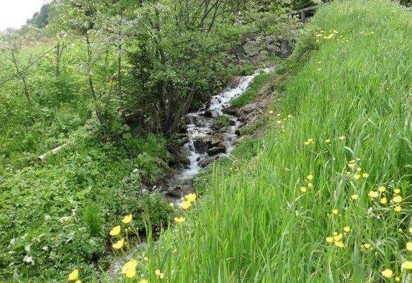 Ulten – Tourismus, Bauen und Gastronomie vereinen sich hier mit einzigartigen Chancen für neue Ideen und ein attraktives Baugrundstück – Ultimo, turismo, costruzioni e gastronomia si incontrano qui con opportunità uniche per nuove idee e un terreno edific