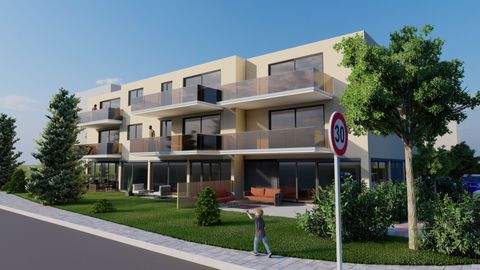 Mühlhausen Ladenlokale, Ladenflächen 