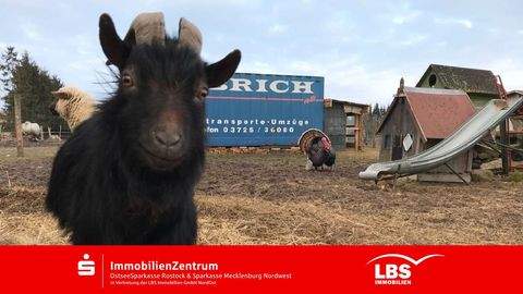 Kröpelin Häuser, Kröpelin Haus kaufen