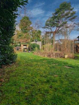 Garten mit Gartenteich