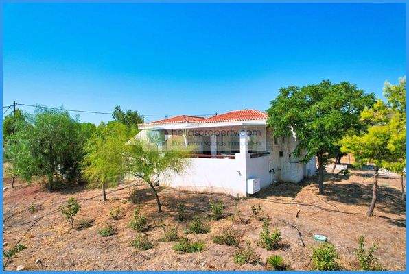 551a22f2f593439cb5942b1180ec681c-original