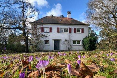 Bad Homburg vor der Höhe Häuser, Bad Homburg vor der Höhe Haus kaufen