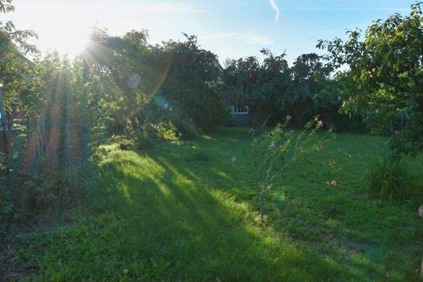 Abendstimmung im Garten.JPG