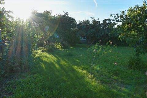 Ribnitz-Damgarten Grundstücke, Ribnitz-Damgarten Grundstück kaufen